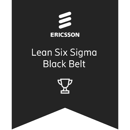 lean six sigma black belt 2